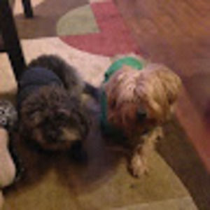 Meet your Posher, Watts